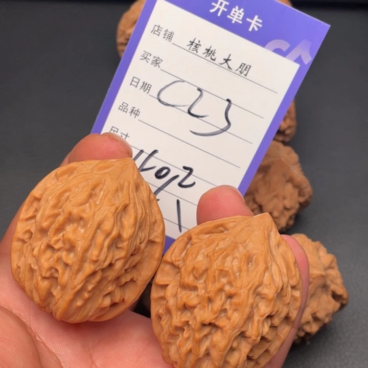 核桃小鸡40尺寸全品