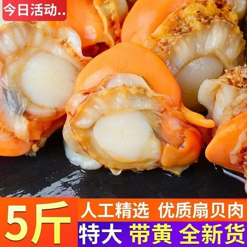精选扇贝肉带膏带黄 到手5斤 新鲜美味 包邮到家