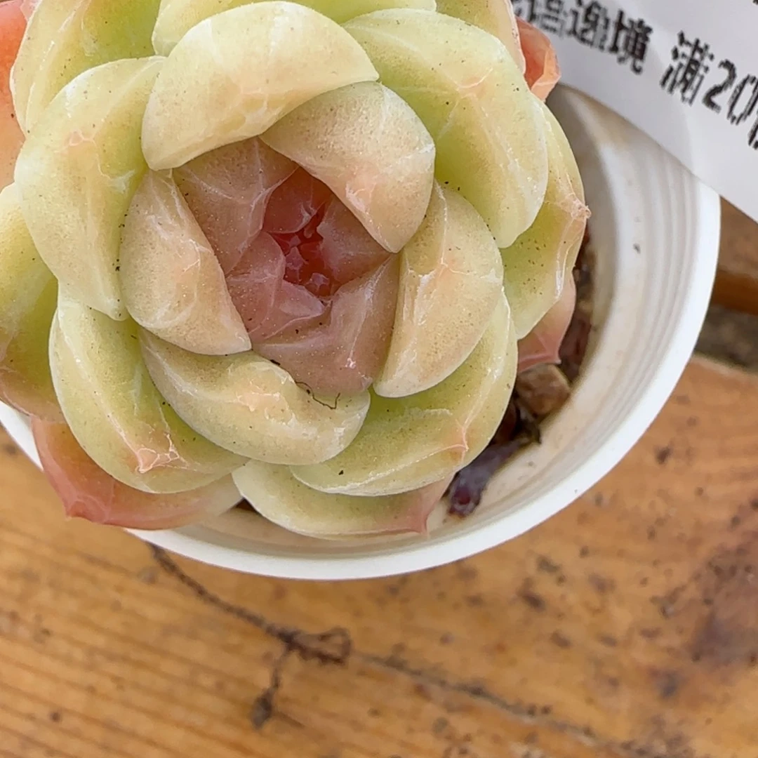 方****?花语逸镜0226-308