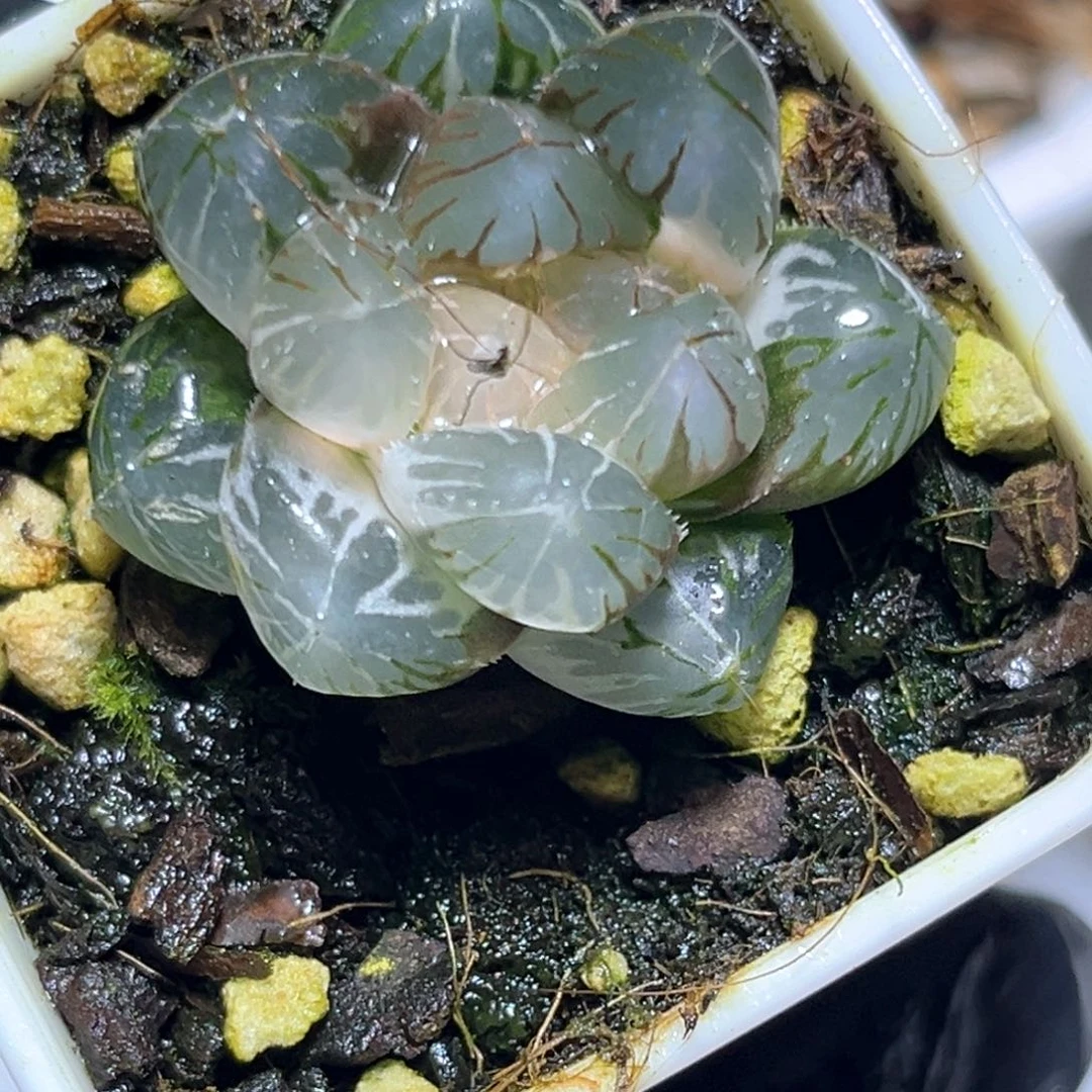 恭喜发财大吉大利1022