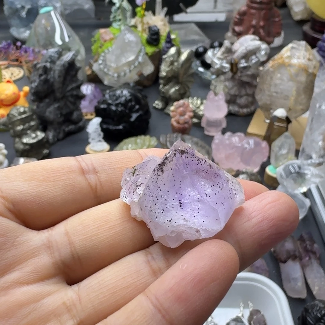 宝***宝花园的小花园中的