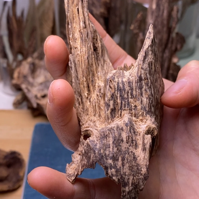 【闪购商品】海南11.7克