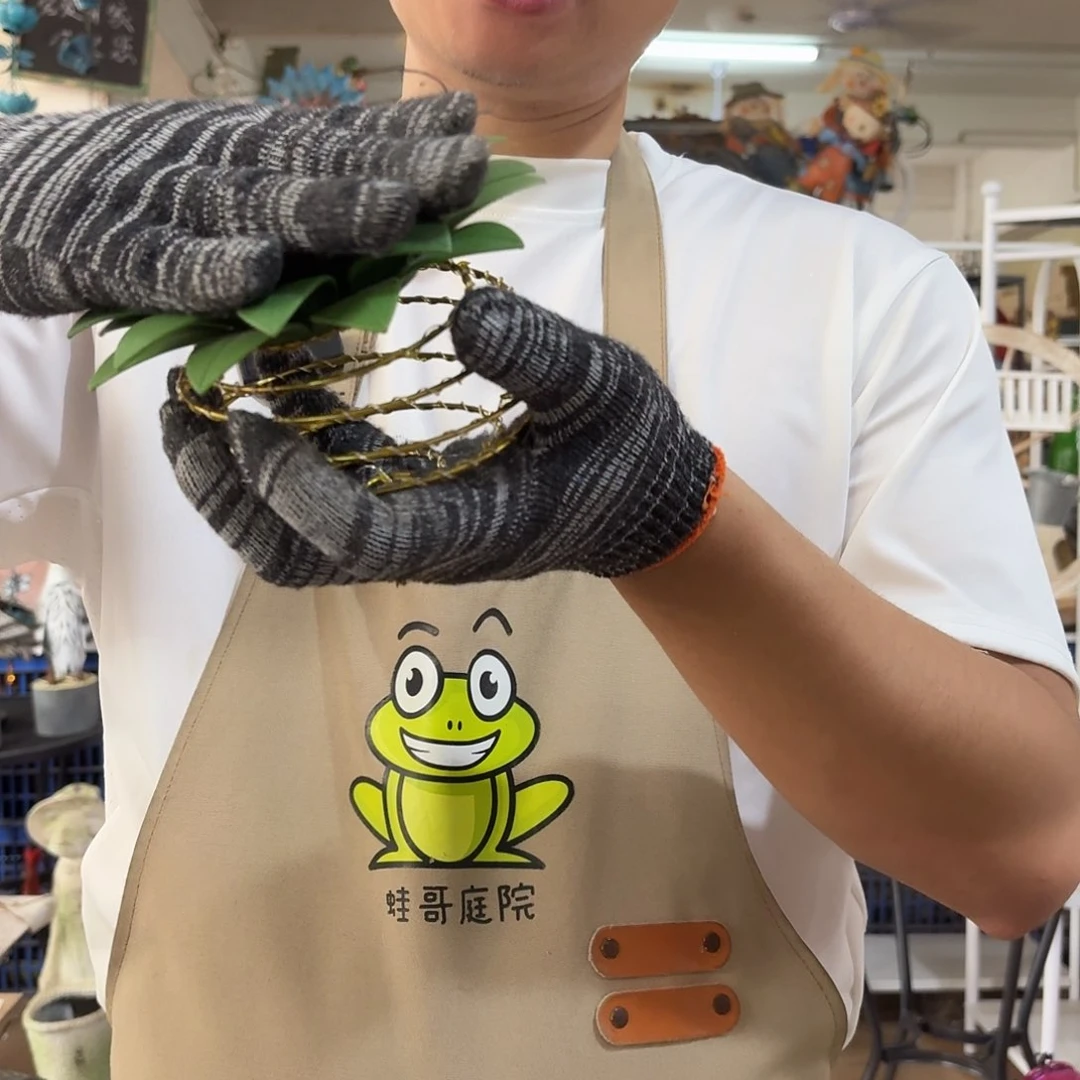 核桃木/黑胡桃（胡桃木）