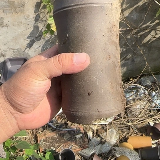 在这里可以看的了的是一片绿色