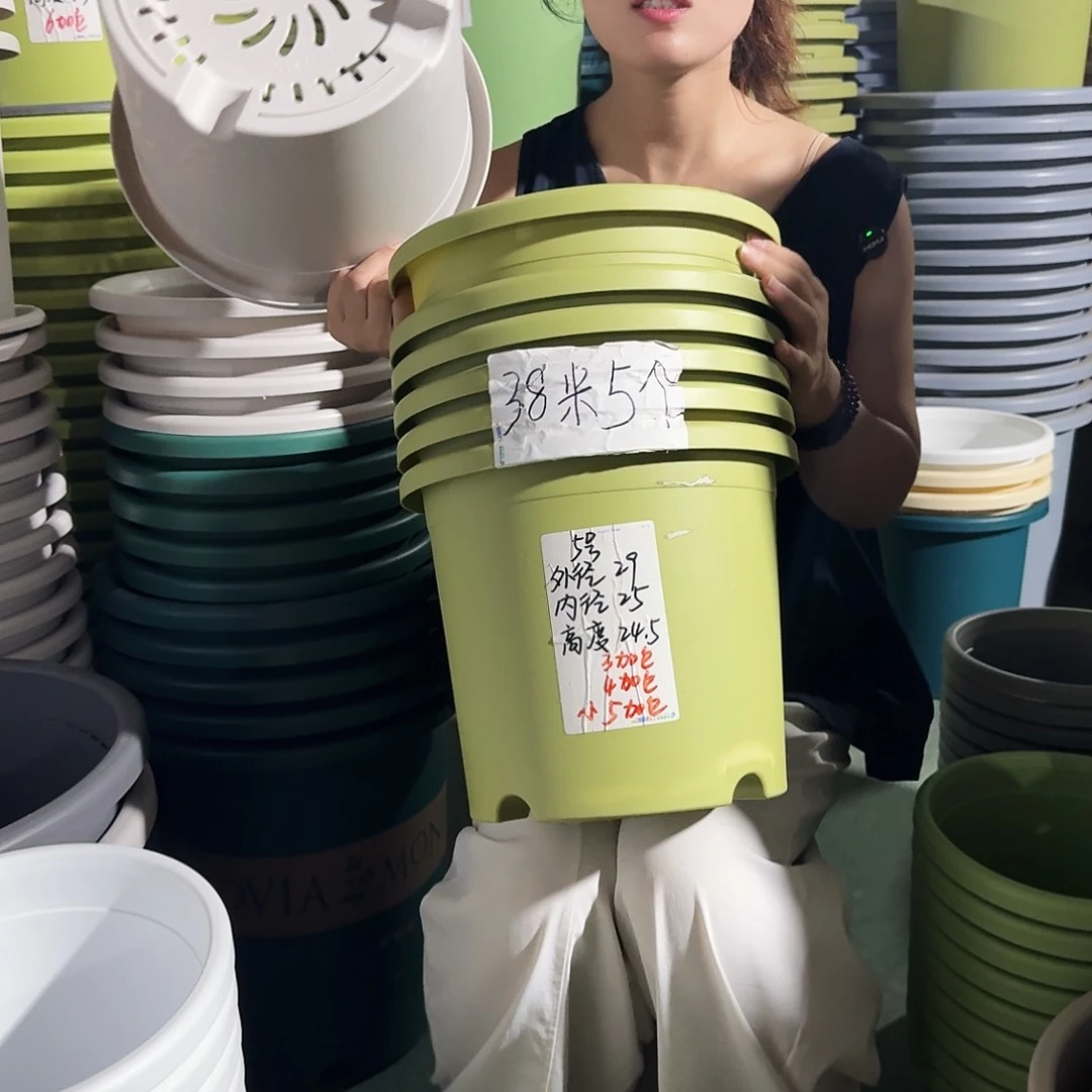 微瑕5#口径29无拖果绿6个