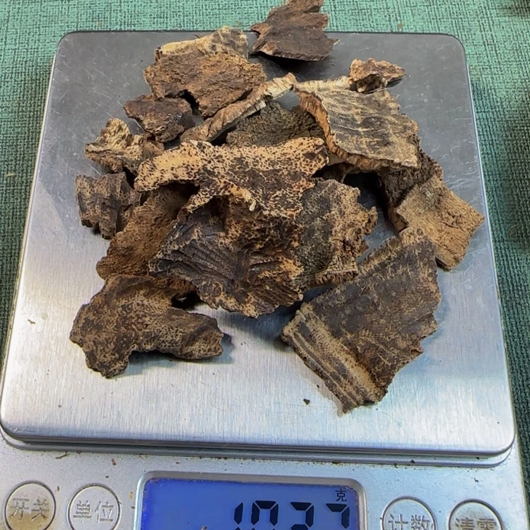 楠木海南壳子碎料10g(香薰)