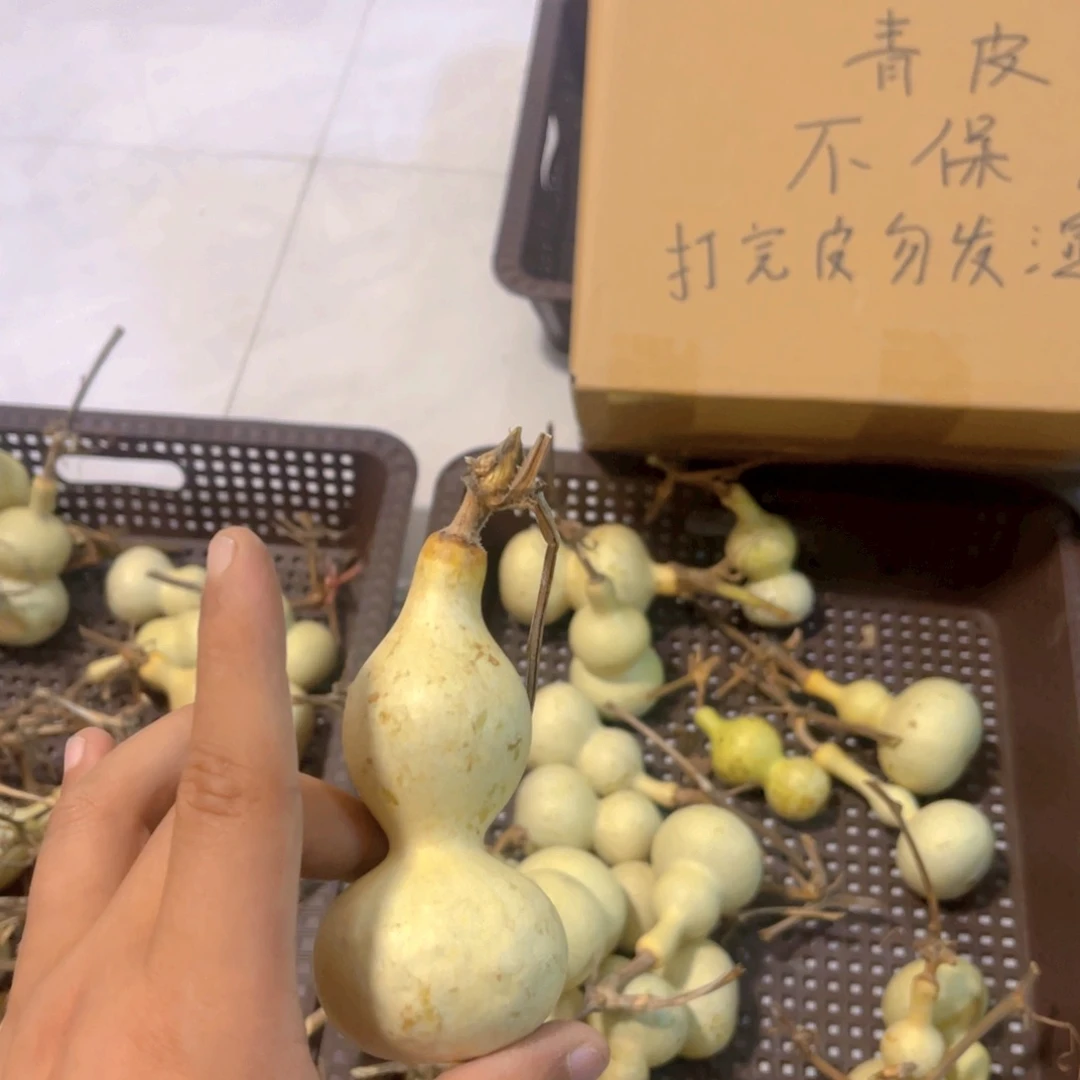 *****感谢大哥支持兄弟，不保成