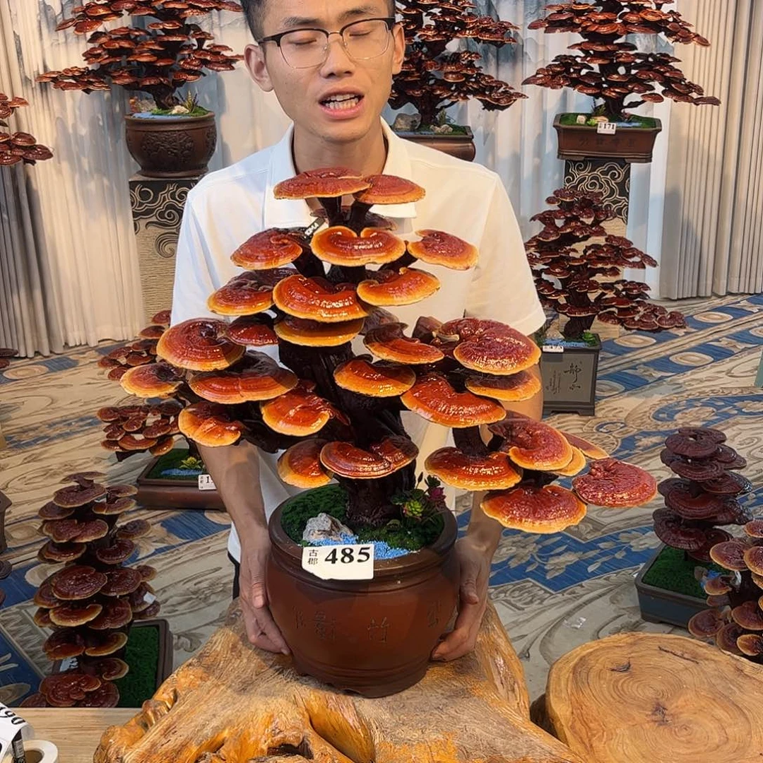 无花朵888888888888