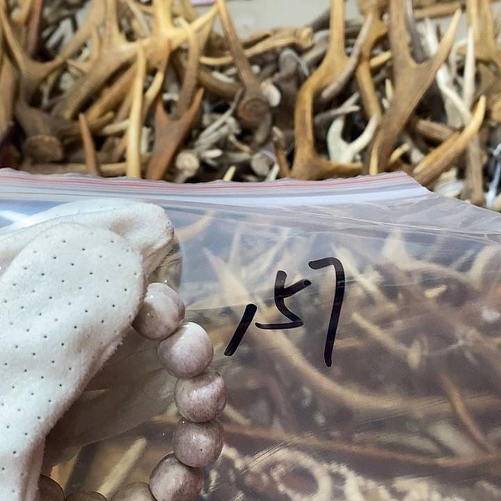 天***福石英石非金属鹿角鹿角