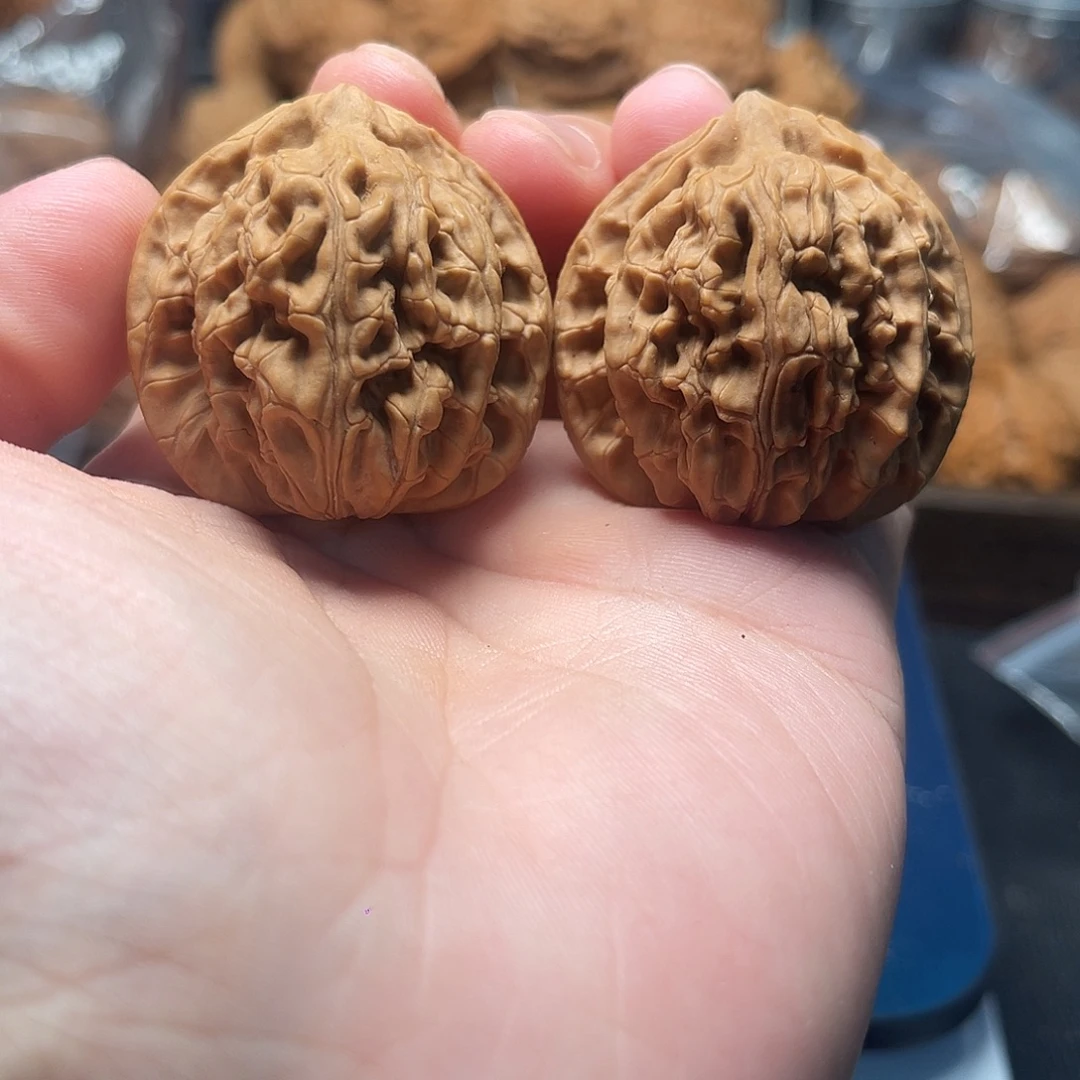 1文玩核桃龙门柱38-270