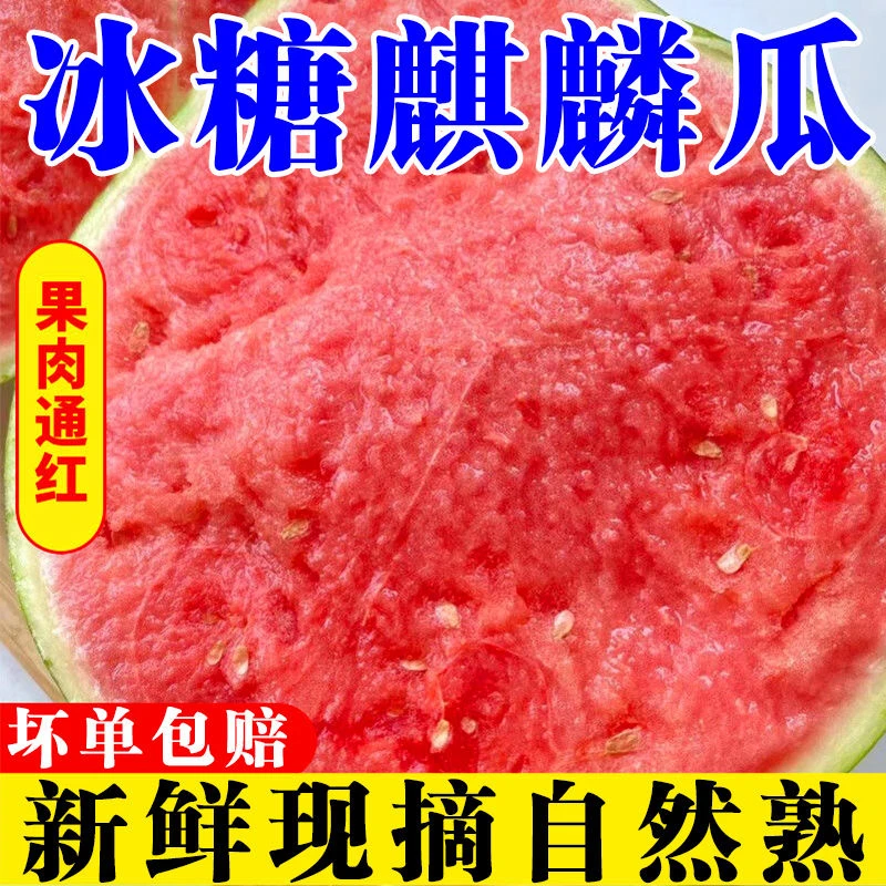 南汇2424抖音西瓜新鲜水果脆甜庞各庄小西瓜抖音西瓜苗8424麒麟瓜