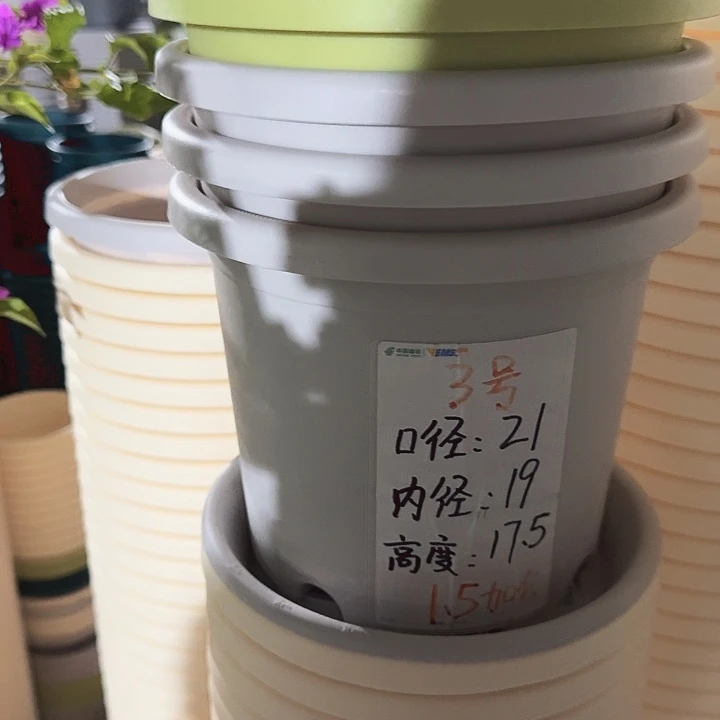 四季3号灰白带托6套特价微瑕