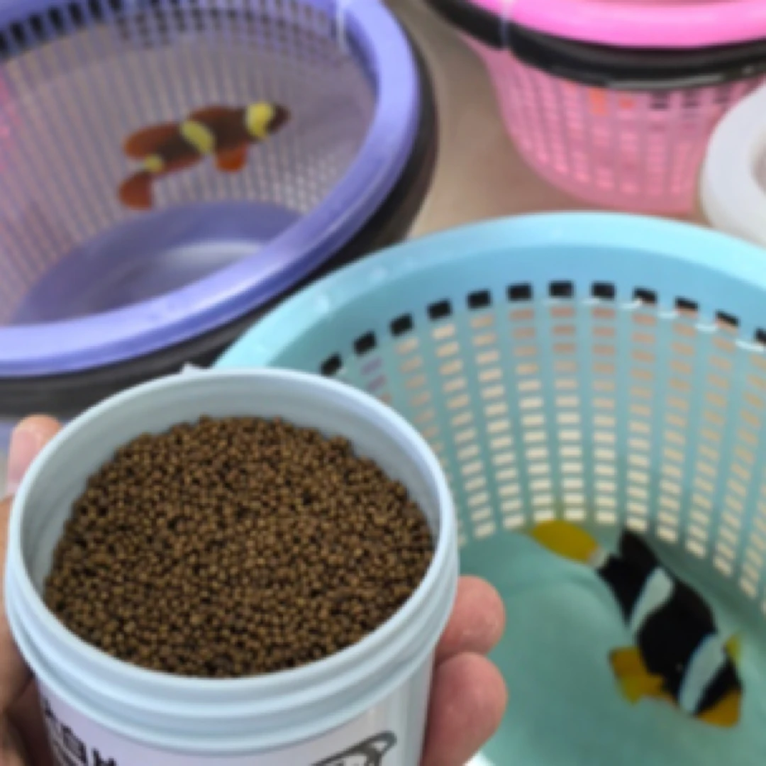 大白片鱼饲料 海水鱼药粮 肠炎 白便 拖便 内寄