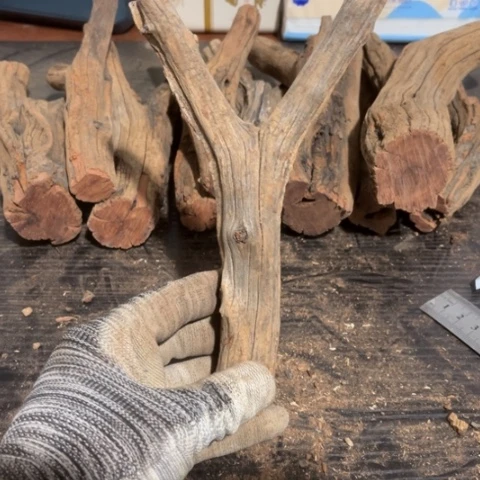 大果紫檀（缅甸花梨）木**景