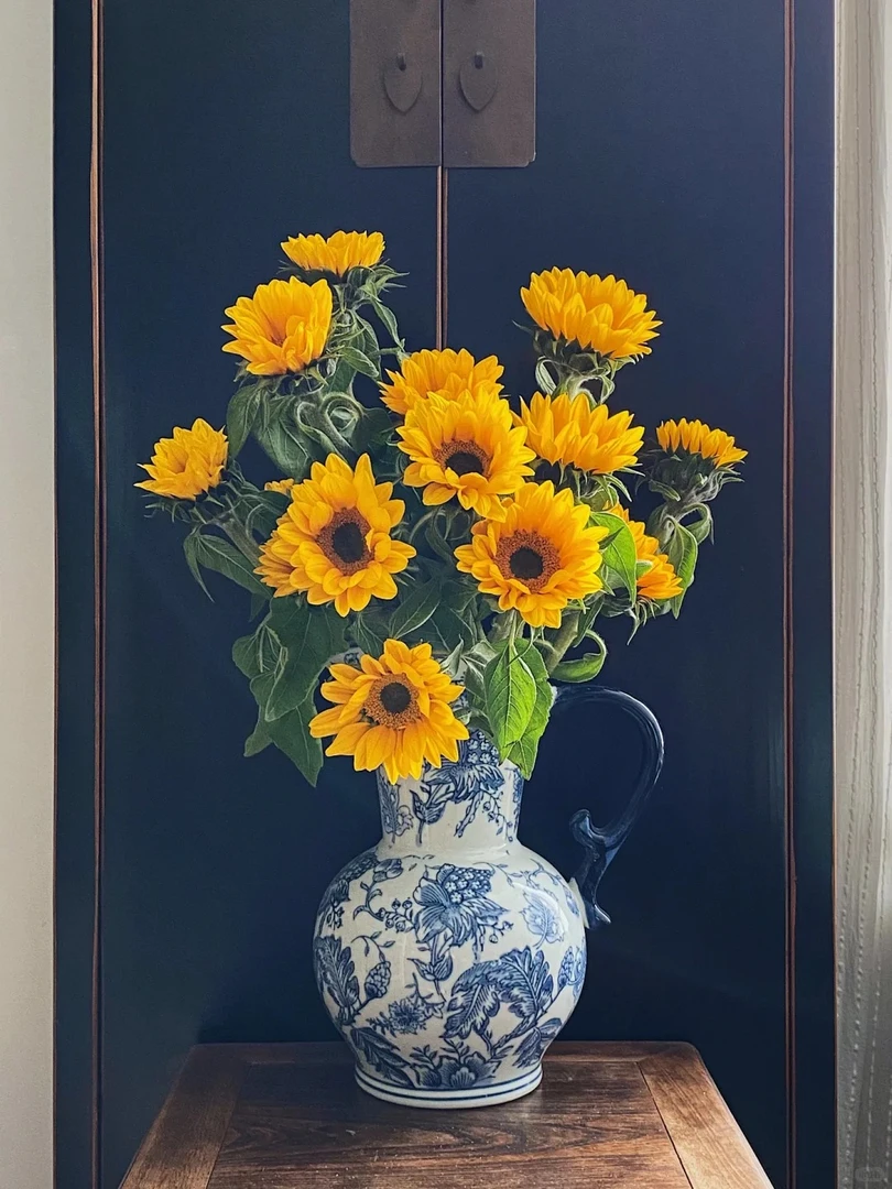 【花王朝】黑心向日葵鲜切花 云南直发鲜花家居水养插花鲜切花