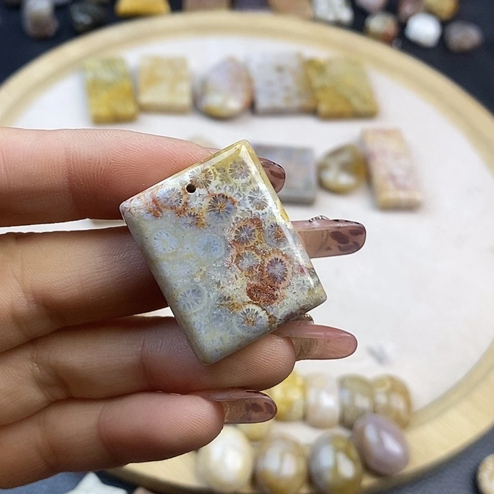 硅化珊瑚（珊瑚玉）未镶嵌颈饰34