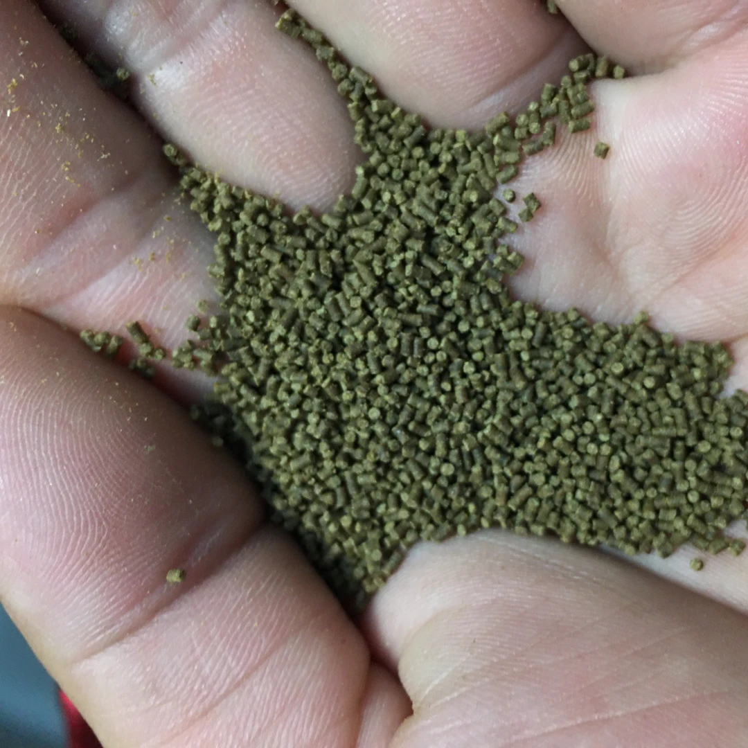 下沉45蛋白百褶狮兰寿饲料