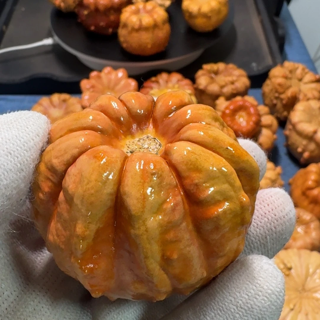 木***莎墨西哥七彩疙瘩葫芦