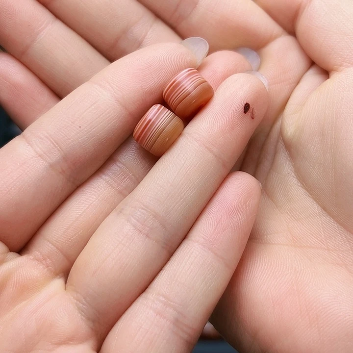 海***鱼玛瑙/玉髓未镶嵌吊坠(不含链)