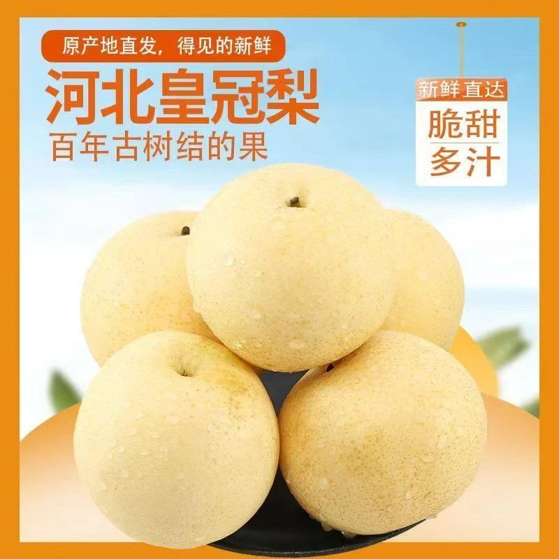 现摘现发正宗皇冠梨新鲜当季水果皮薄多汁甜酥脆