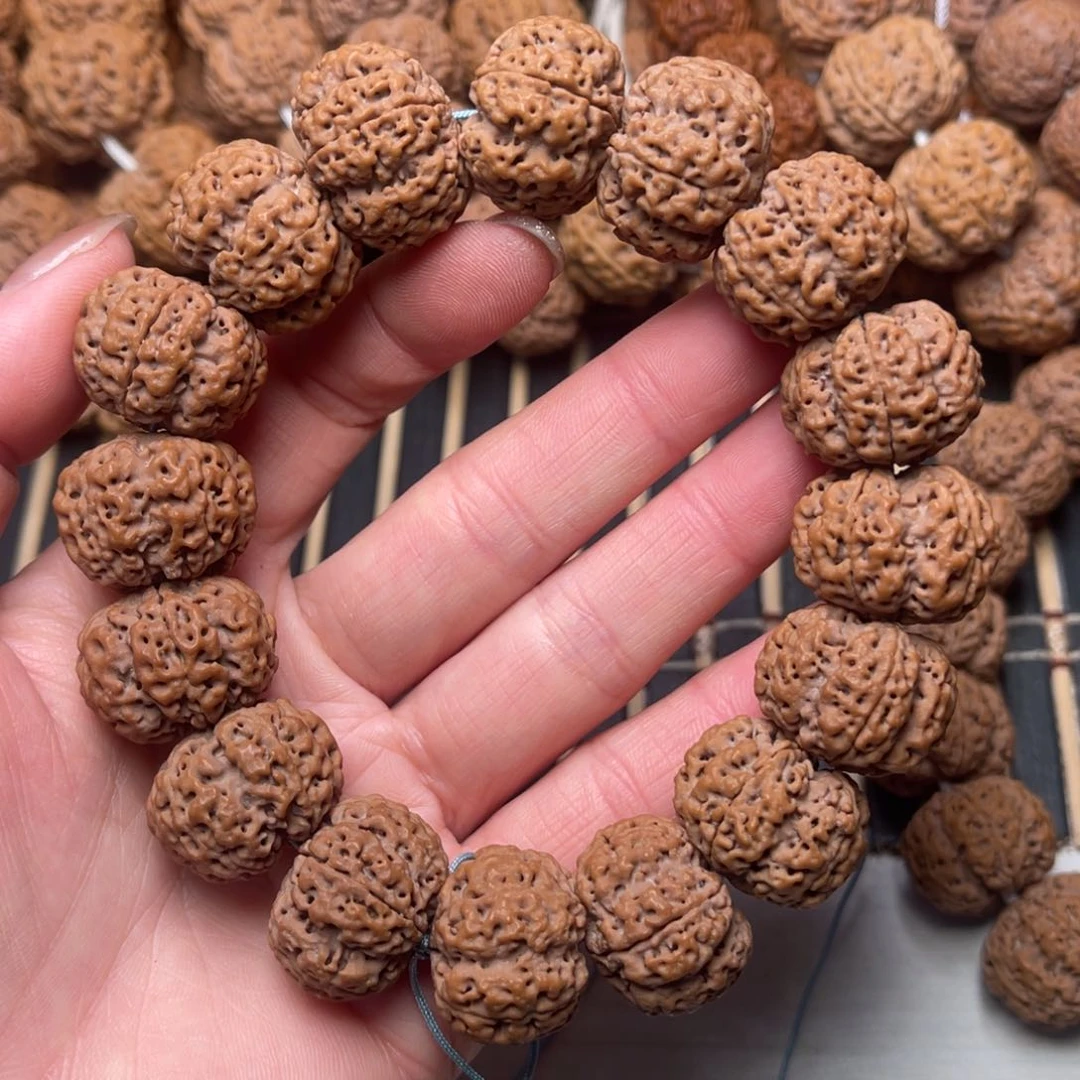 菩提尼泊尔大金刚龙牙梅花22