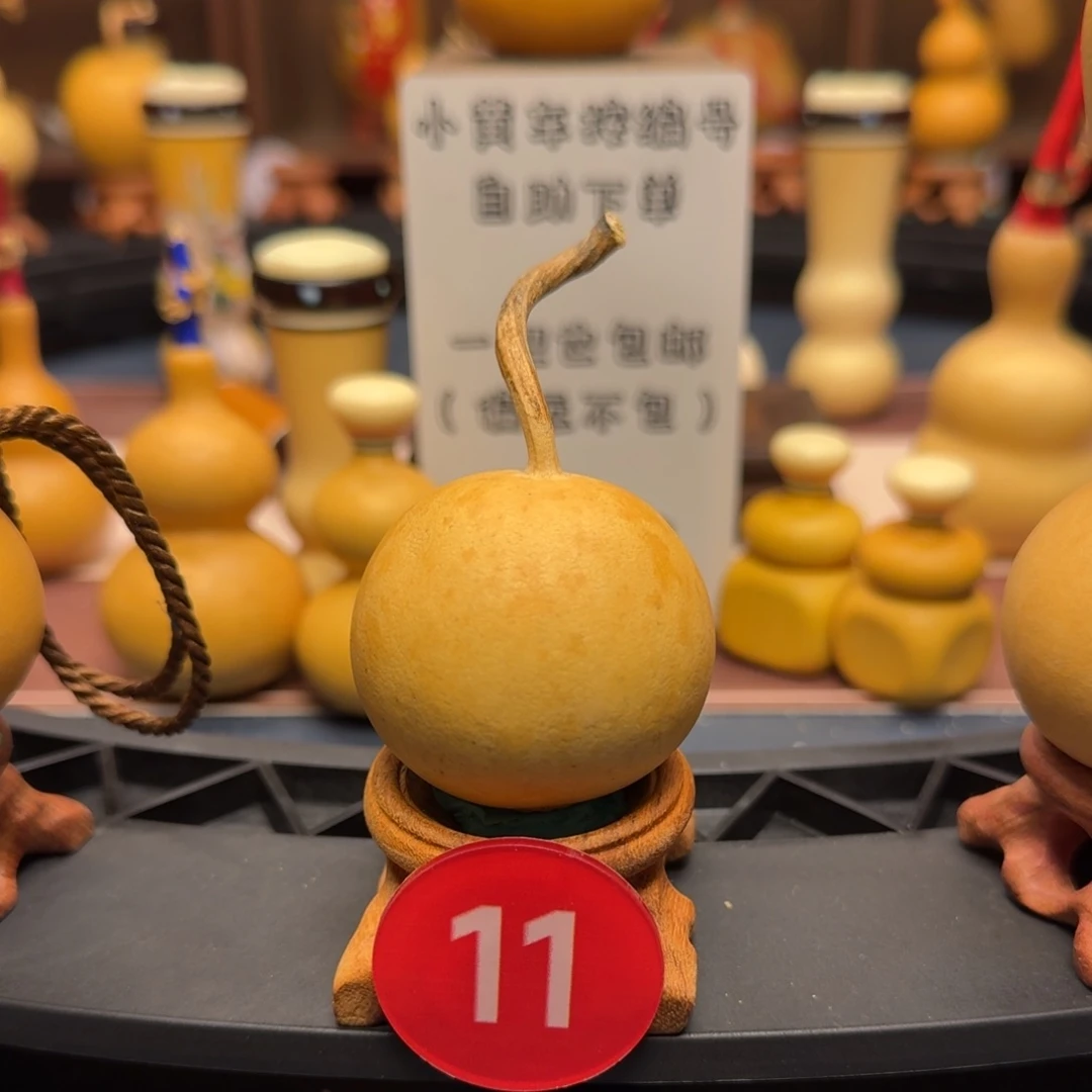 11号花叶苹果葫芦