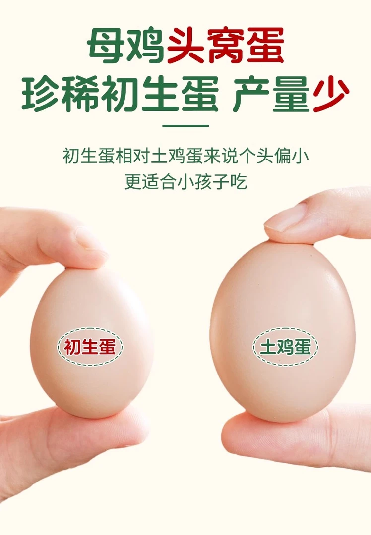 【乡村萍姐】农村自家散养的土鸡初生蛋个头小营养高鸡妈妈的头窝蛋