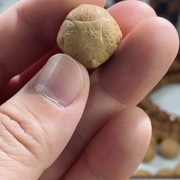 吊坠凤眼菩提尼泊尔小凤眼