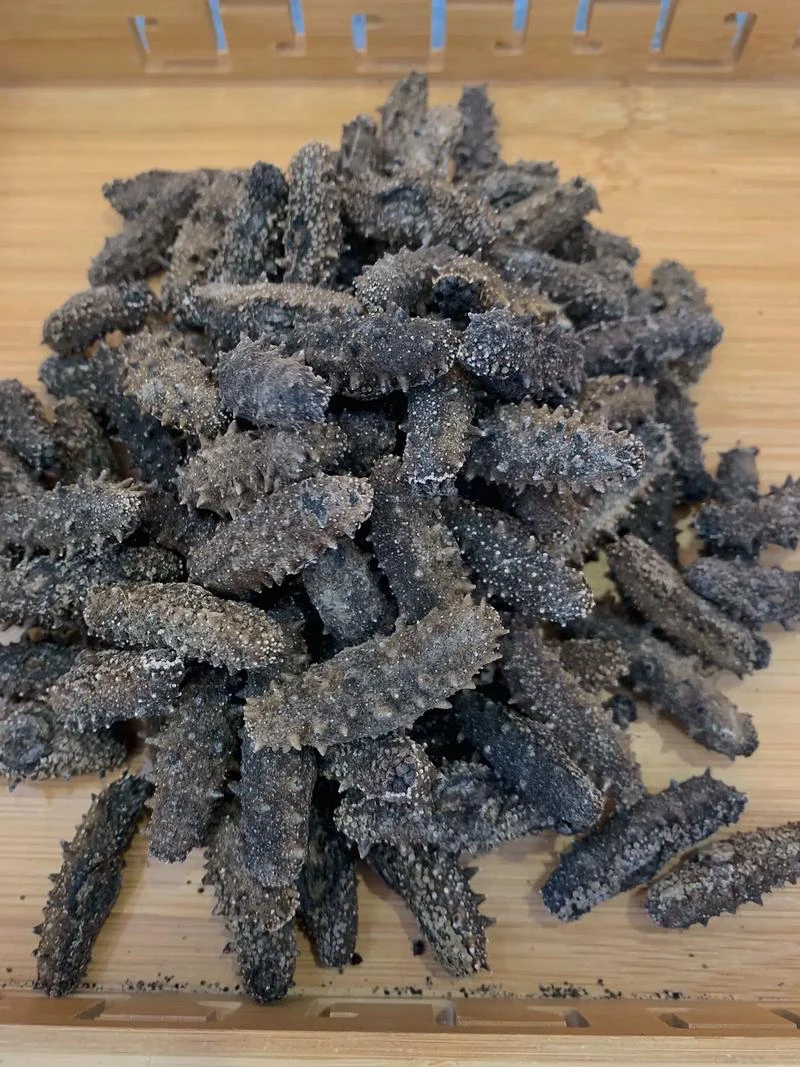 大连淡干辽刺参 国标纯淡干13-15倍泡发深海海参