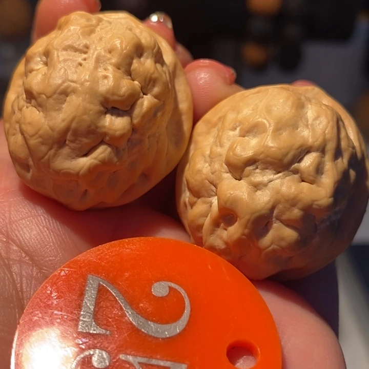 铁核桃赤脚蛙30尺寸