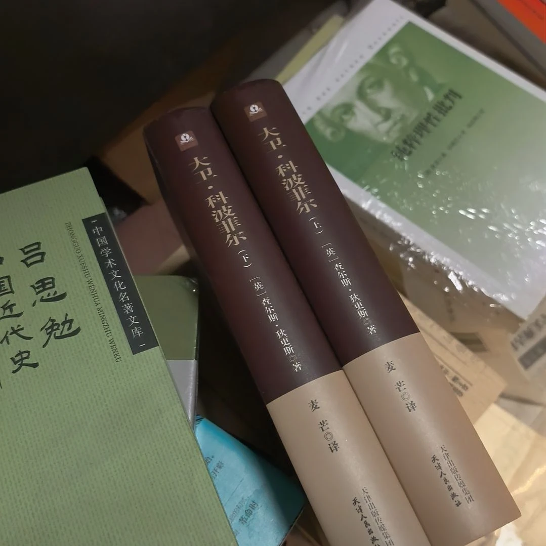 大卫科波菲尔精装塑封全新