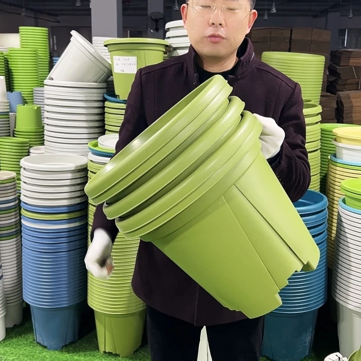 清仓青山口40高34果绿5只无托