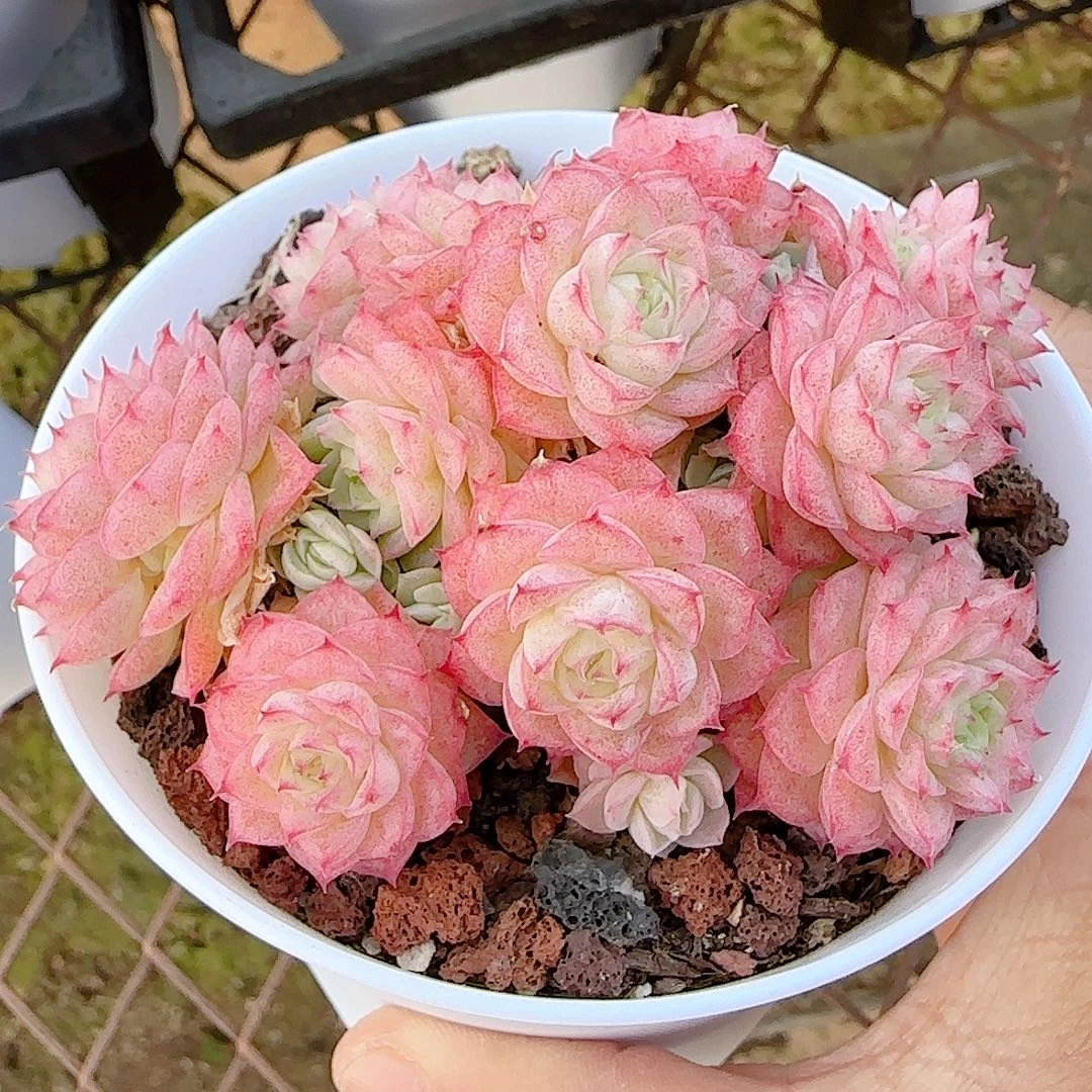 1222-26（ht-70）优选