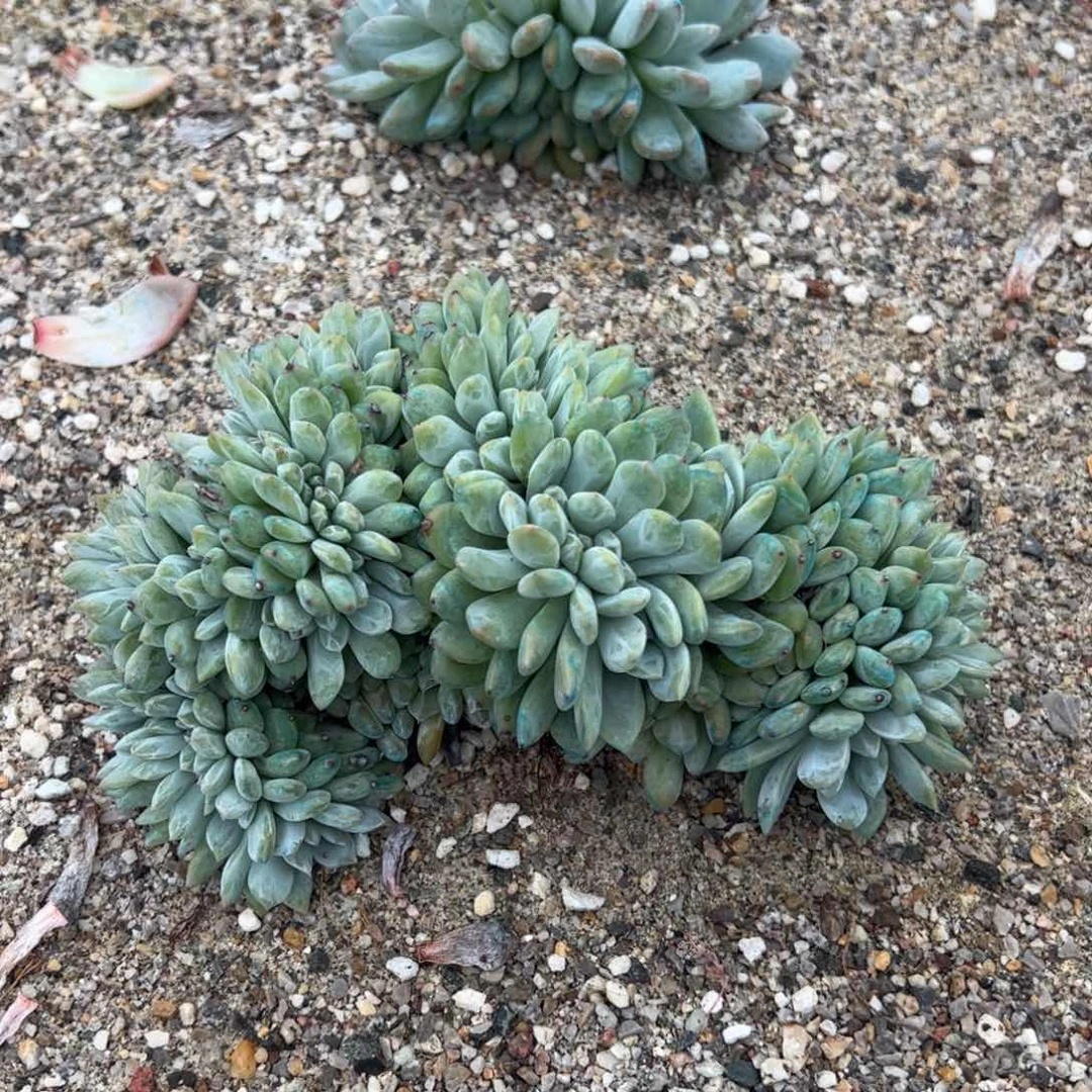 地地道道的点点滴滴