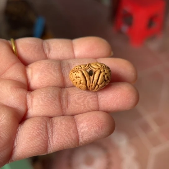 木质野生异形桃核