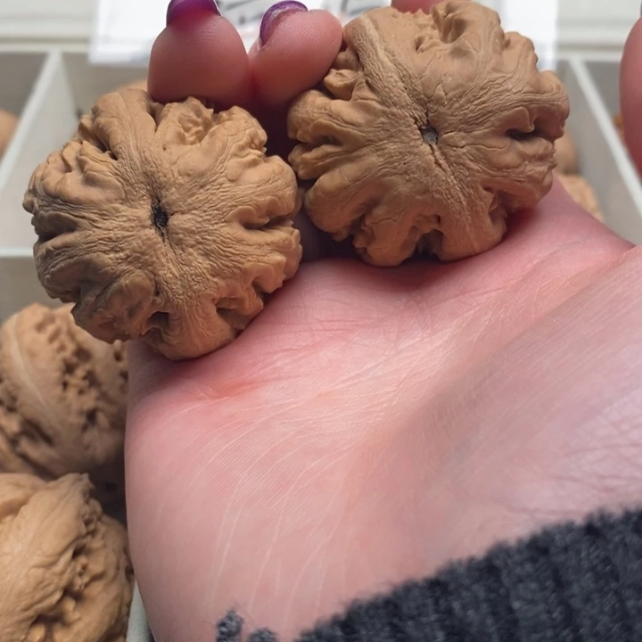 ✎***诗吊坠文玩核桃霸王龙