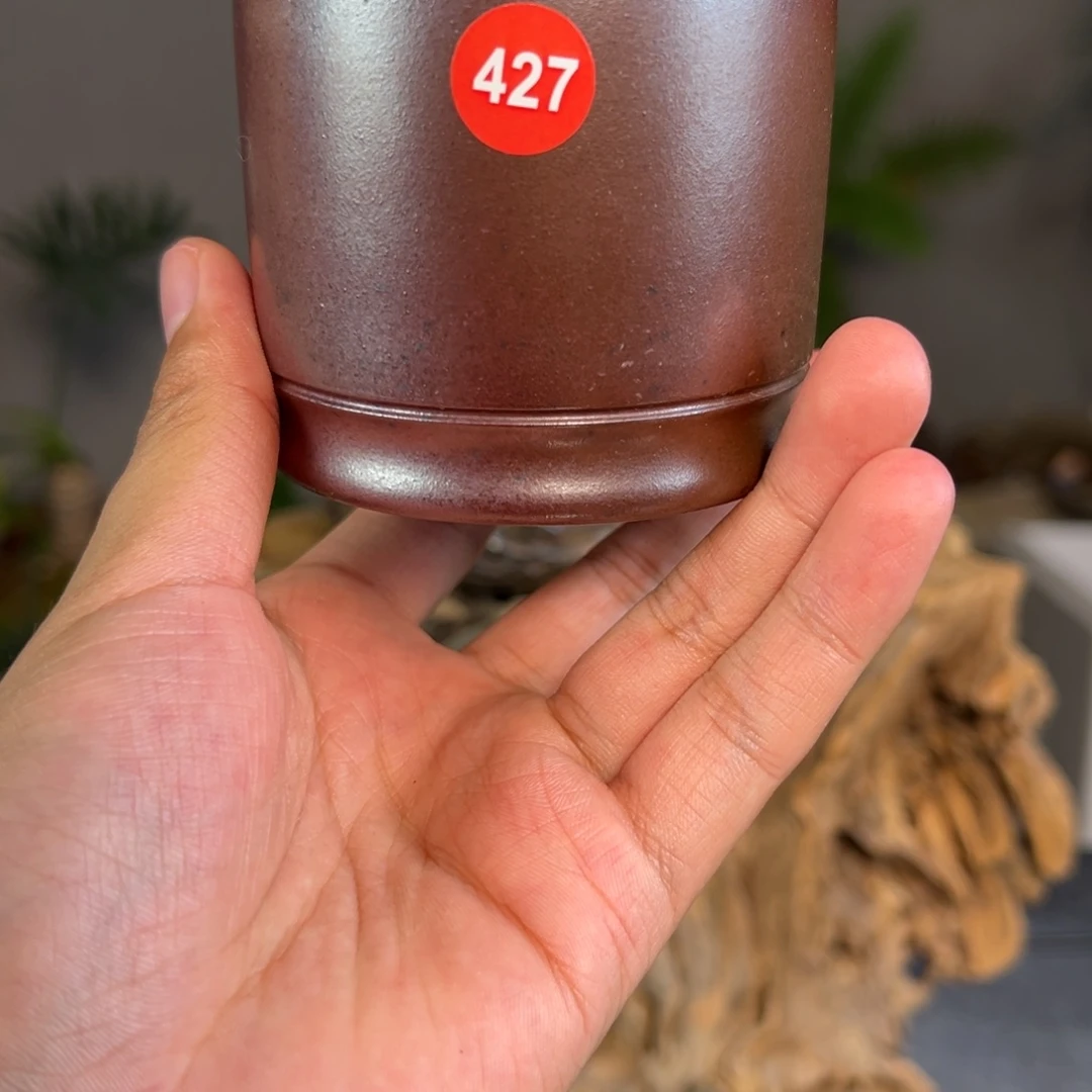 -***-杯427号紫砂主人杯