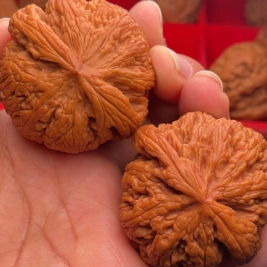 文玩核桃把件秦岭山脉核桃