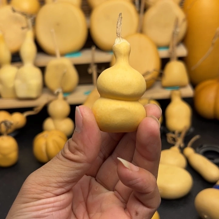 ?****╮556688889999999999999