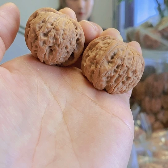 【闪购商品】把件文玩核桃35闷尖石墩小众