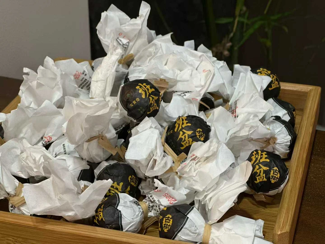 2025年班盆古树纯料龙珠普洱生茶