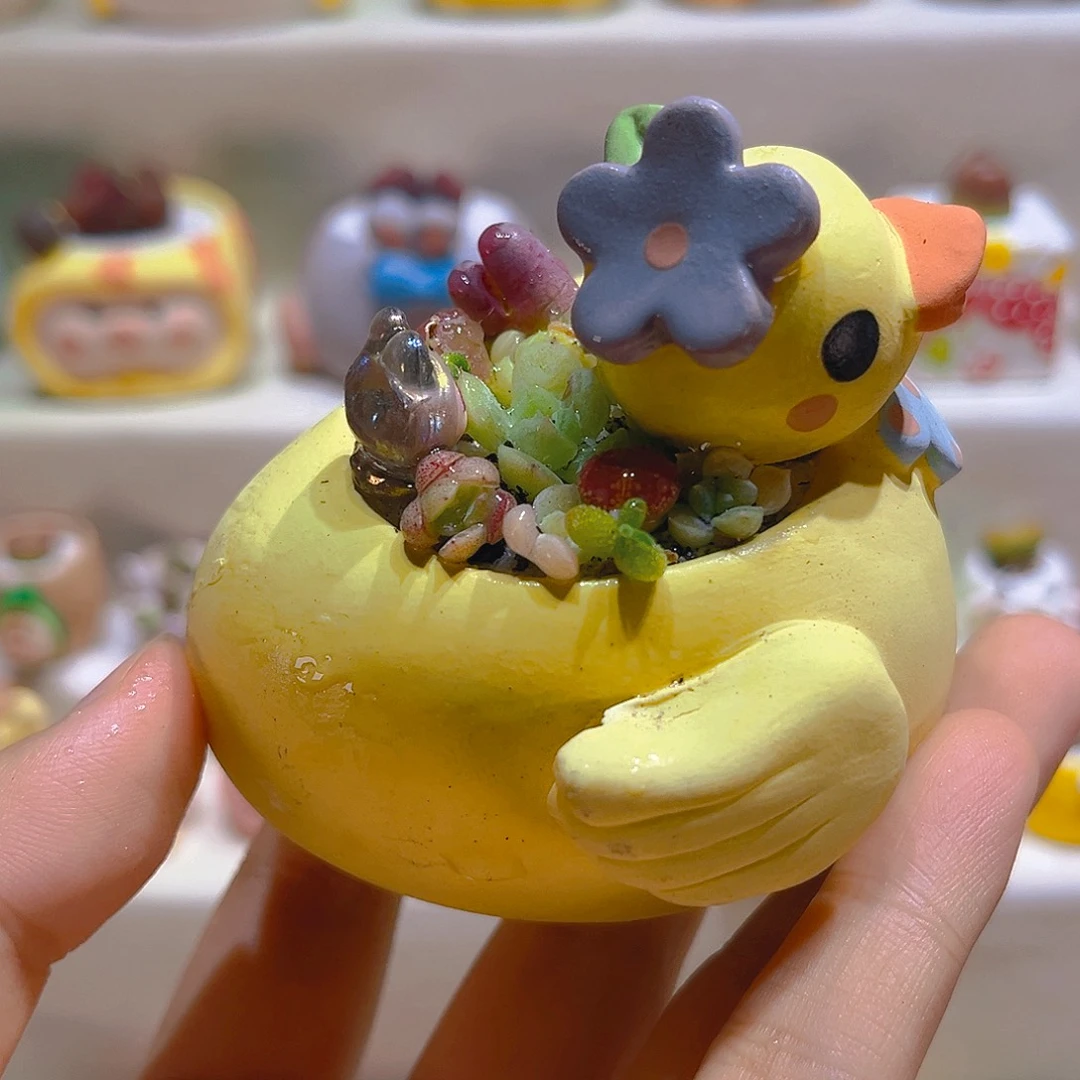 036花海高端多肉带盆带土