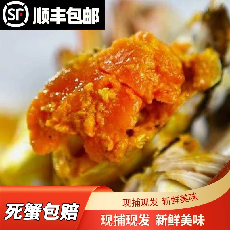 【礼盒装】江苏全母大闸蟹10只（2.5两～2.3两）顺丰包邮