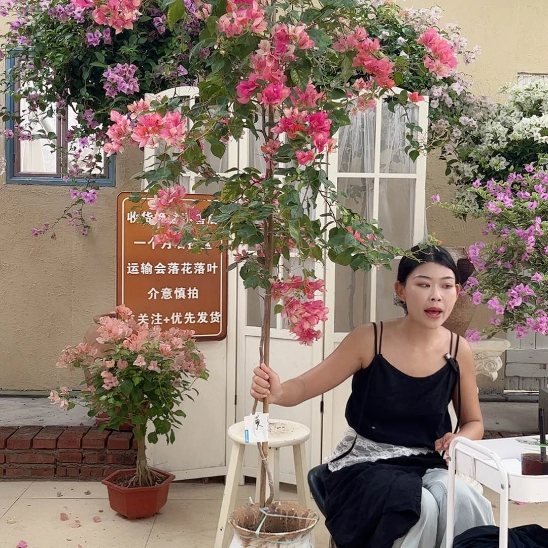 完全开放1111111111