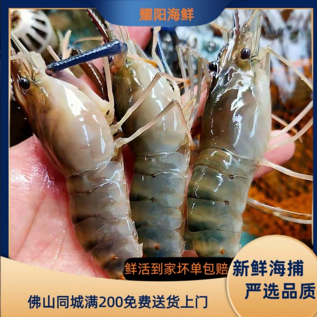 鲜活罗氏虾原产地