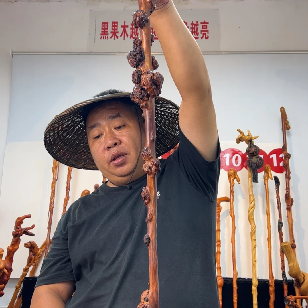 奔***乐其他黑果木黑果木481
