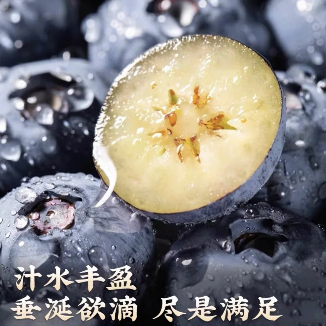 【顺丰空运】四川大凉山蓝莓现摘鲜果当季新鲜孕妇水果125g/盒