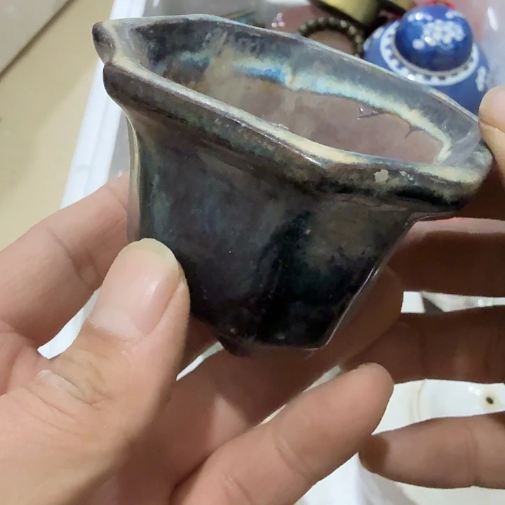 嘉***君扇子吃g个哈哈哈哈哈哈哈哈哈哈哈哈