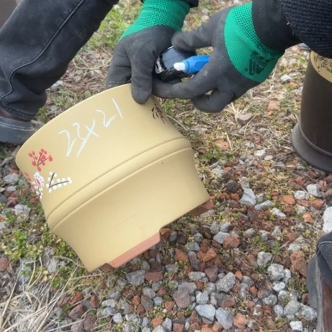 红陶紫砂花盆盆景盆栽