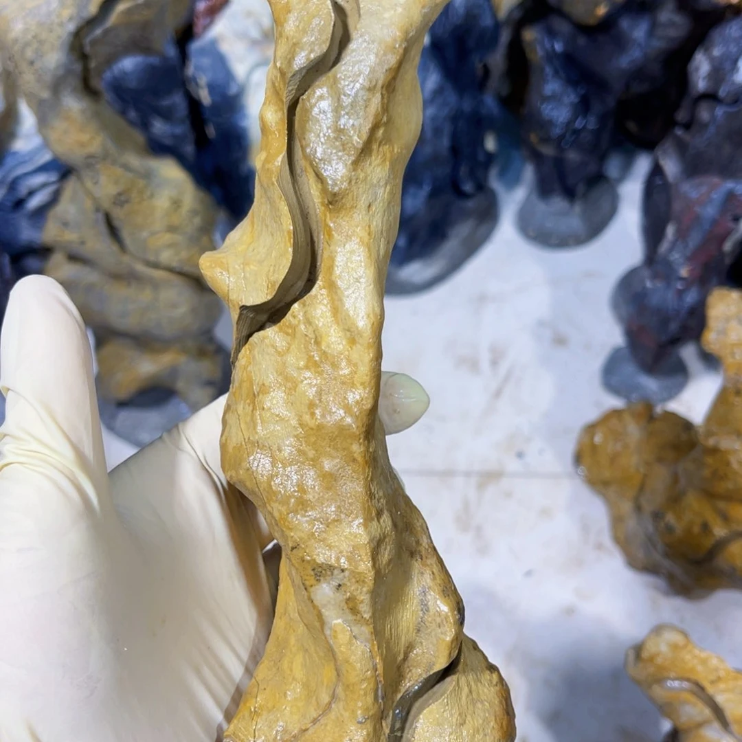 笑**开附石盆景一物一拍